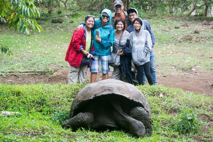 7 dagars Galapagos Santa Cruz och Isabela Islands plus Quito Tour