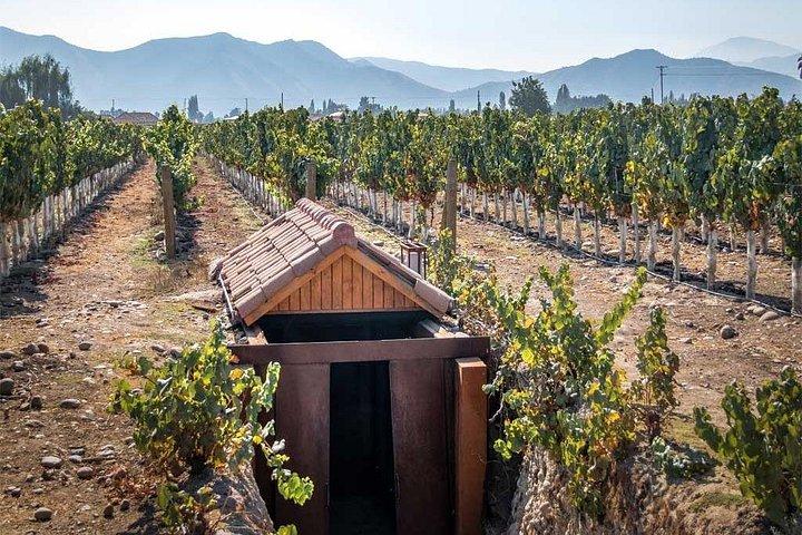 Private Winery Undurraga from Santiago