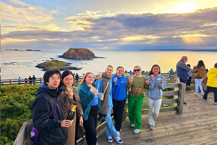 Phillip Island : Penguin Express Tour van het Gouden Uur met eiland pick-up