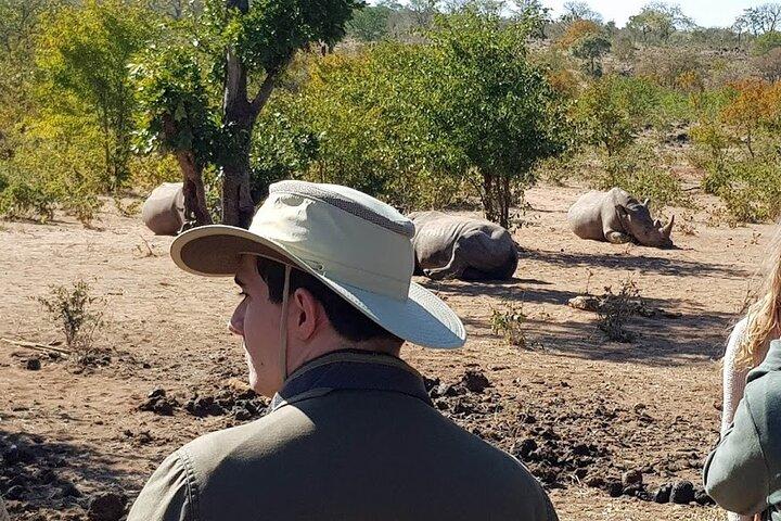 Game Drive di 3 ore nel Parco Nazionale di Mosi-Oa-Tunya