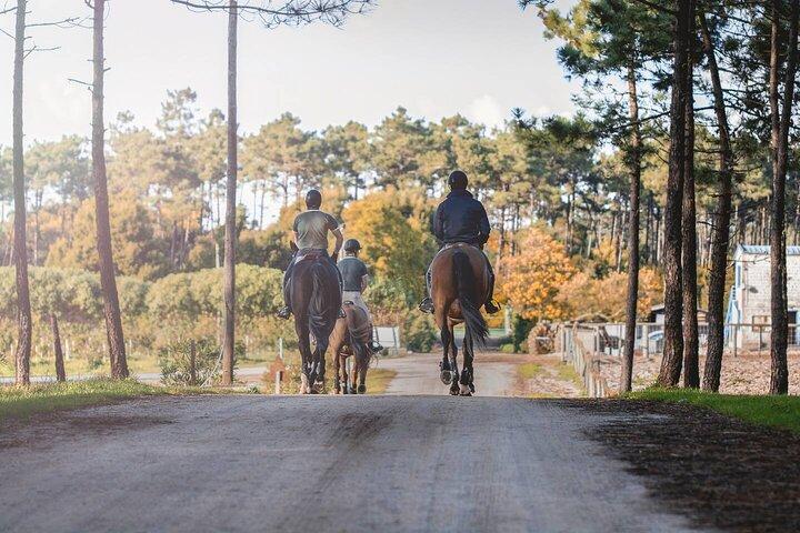 Reiten im Grünen