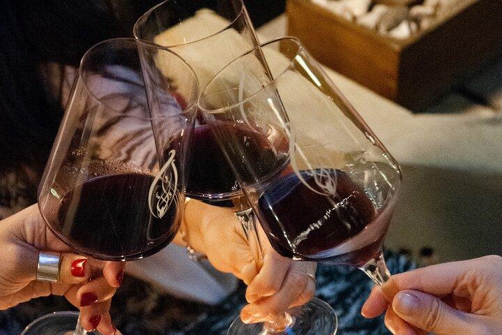 Buenos Aires Small-Group Wine Tasting
