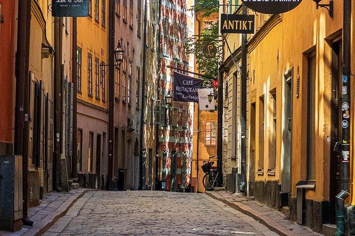 Den gamle bydel og Vasa Museum Private vandretur (3 timer)