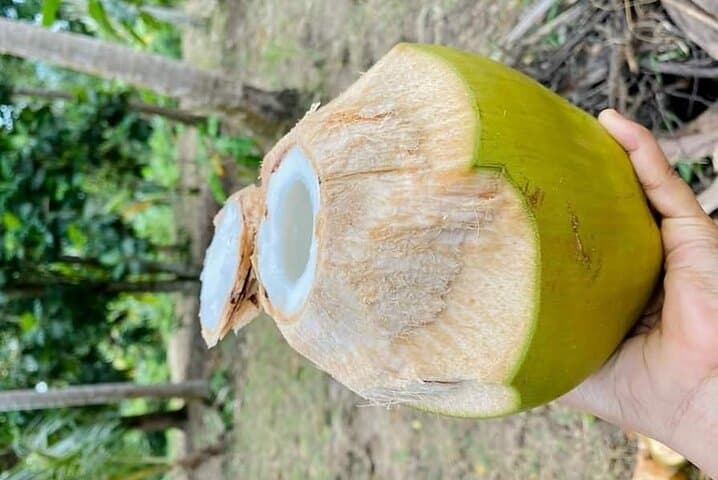 Private Full Day Trip to Stone Town, Spice Farms and Jozani Forest