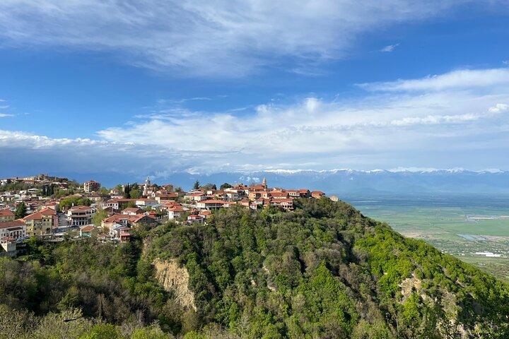 Da Tbilisi: Soghnaghi privato, monastero di Bodbe e tour del vino