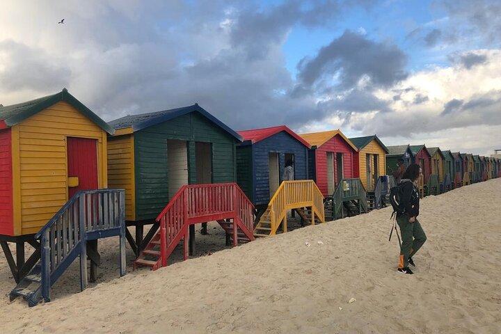 Table Mountain, Cape Point & Penguins Private, depuis Cape Town