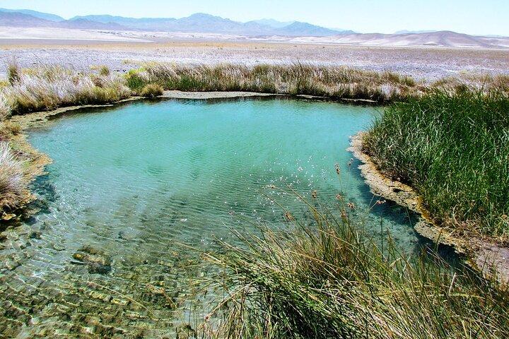 4 - Visite privée d'une heure à Hidden Hot Springs près de Death Valley