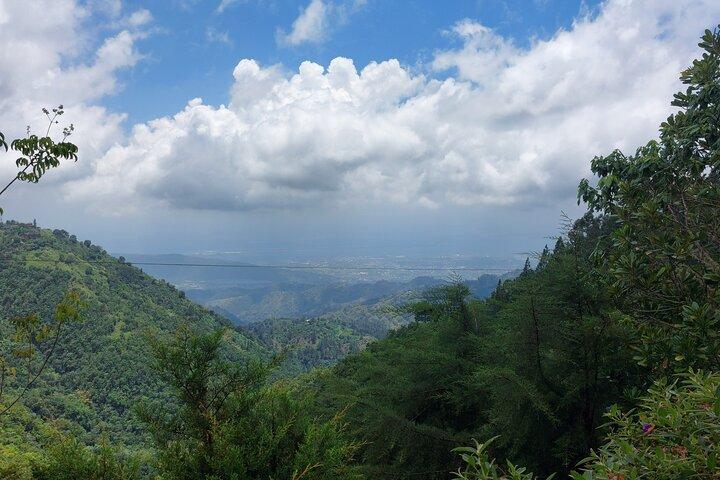 Blue Mountain Sight-Seeing & Nature Trail-wandeling met privégids
