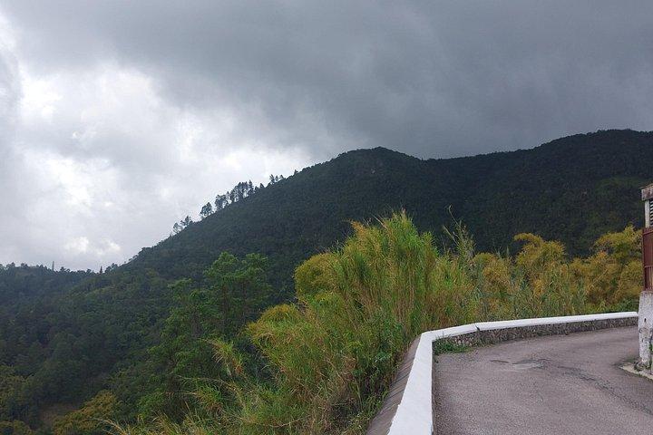 Blue Mountain Sight-Seeing & Nature Trail Hike with Private Guide