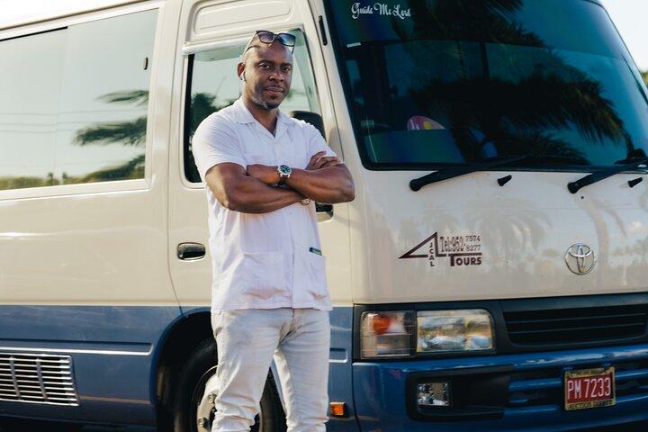 Privéluchthaventransfer Montego Bay