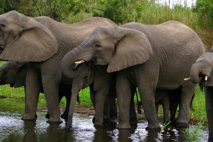 5 Day Garden Route Small Group Tour From CapeTown