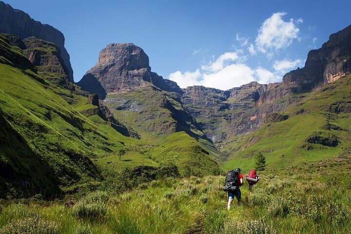 5 Day Garden Route Small Group Tour From CapeTown
