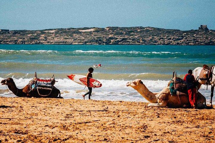 Excursion Full Day (Private) from Marrakech to Essaouira