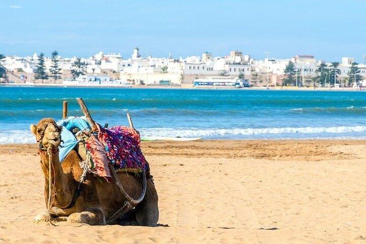 Excursion Full Day (Private) from Marrakech to Essaouira