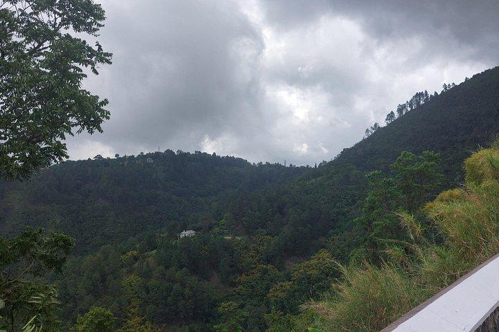 Blue Mountain Sight-Seeing & Nature Trail Hike with Private Guide