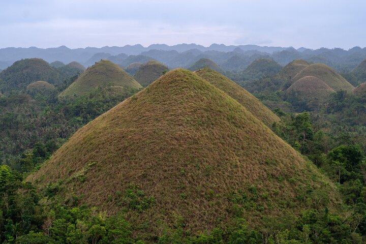 Hoteller i nærheden af Chocolate Hills & Tarsiers