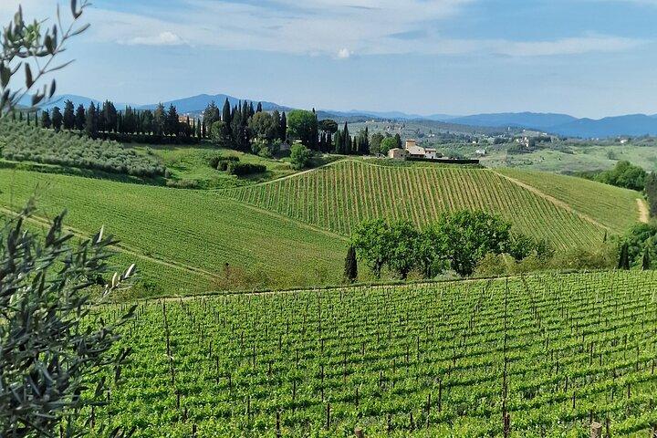PRIVÉ WIJN TOUR TOSCANE Chianti Wineries, Expert Engels chauffeur