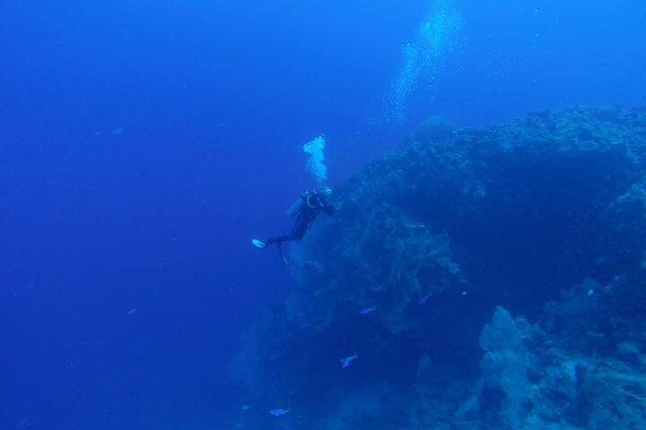 Buceo de día completo en Hurghada
