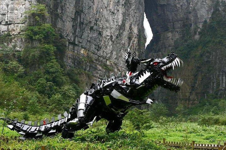 武龍と大祖彫刻2日間世界遺産プライベートツアー