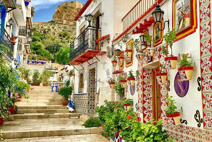 Alicante: Privat anpassad vandringstur med en lokal guide