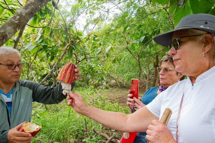 Reserva Ecológica del Manglar de Churute y Granja de Cacao