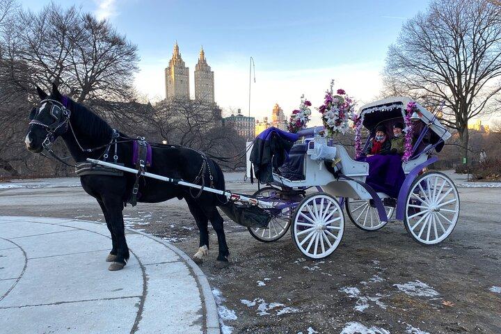 Hestevognsture i Central Park, NYC