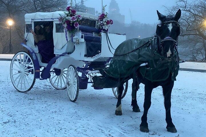 Hestevognsture i Central Park, NYC