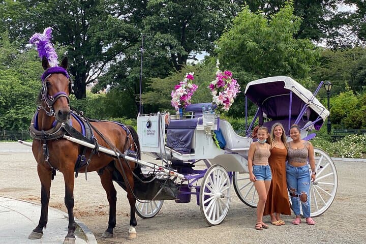 NYC Central Park Horse Carriage Rides