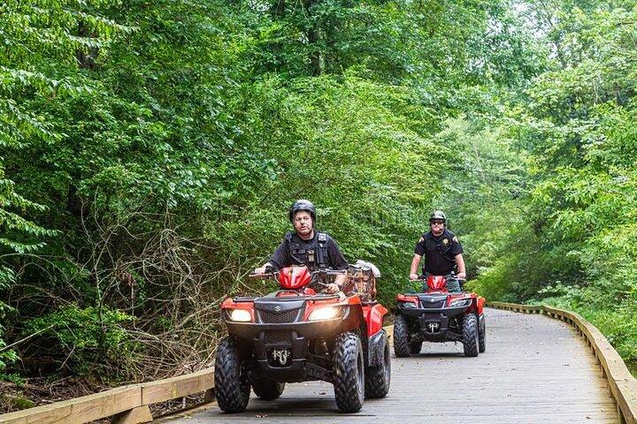 コンボ : ケーブル カー乗車、スカイ ブリッジ、滝までの ATV 乗車