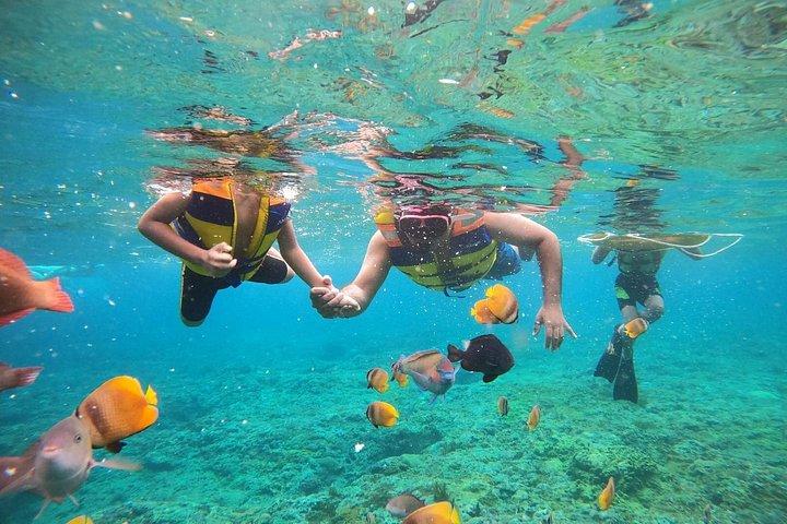 バリ島：ベスト・オブ・ヌサペニダ島旅行