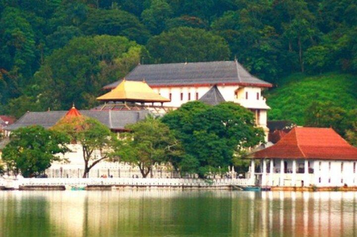 Tour privato di Kandy da Colombo e Negombo