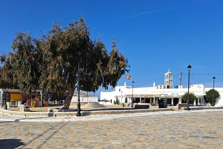 Privat sightseeingtur på ön Mykonos.