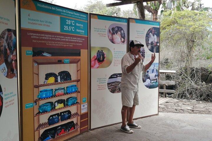 7 dagars Galapagos Santa Cruz och Isabela Islands plus Quito Tour