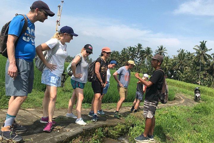 Halbtägige E-Fat-Bike-Tour durch Ubud
