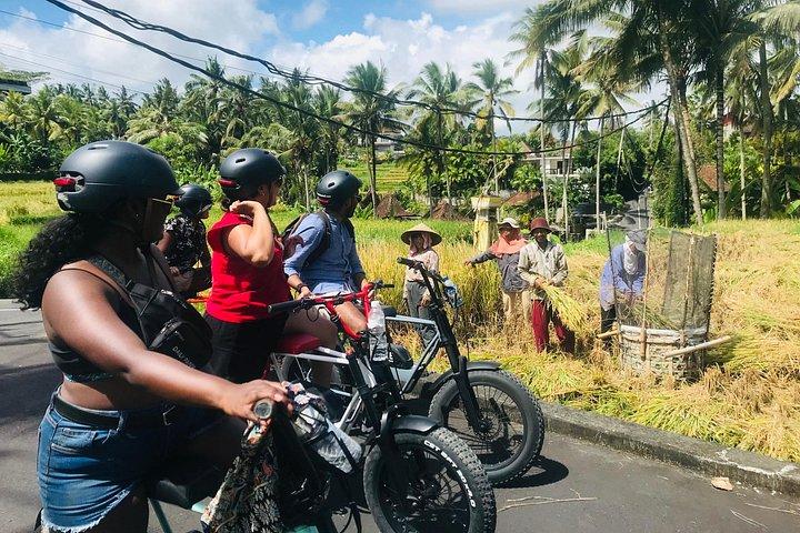 Halbtägige E-Fat-Bike-Tour durch Ubud