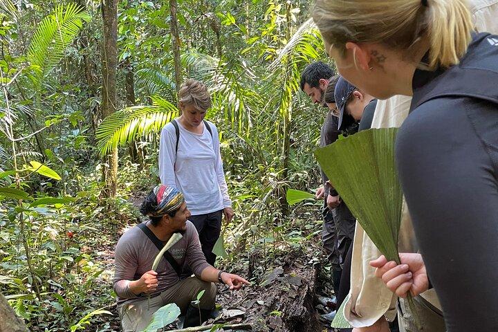 5 dagars Cuyabeno Amazon Experience på Waita Lodge