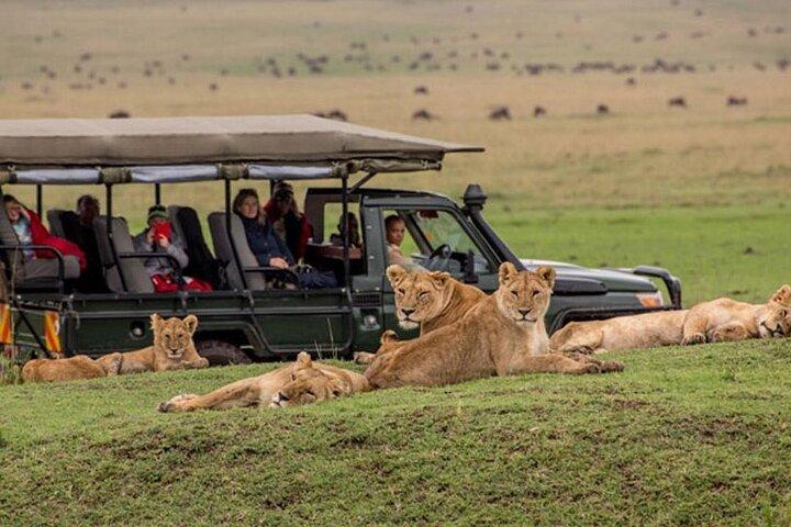 3 Day 2 Nights Maasai Mara Flying Safari(Mid range Accommodation)