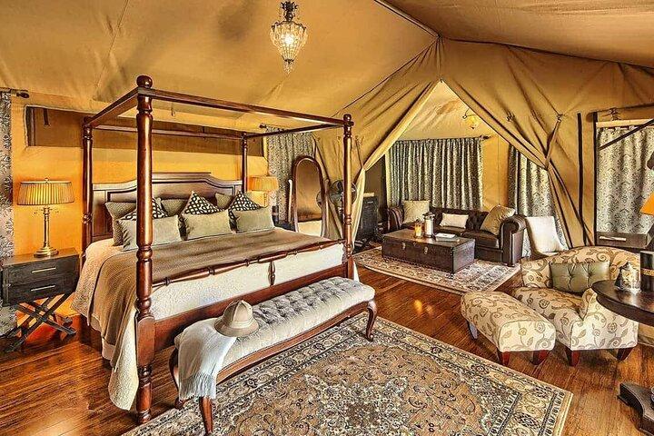 3 Tage, 2 Nächte Maasai Mara Flying Safari (Mittelklasse-Unterkunft)