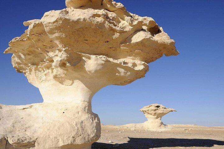 Egypt Magic Black and White Desert