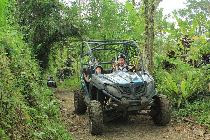 Bali Quad and Buggy Discovery Tour, Including Round-Trip Transfer
