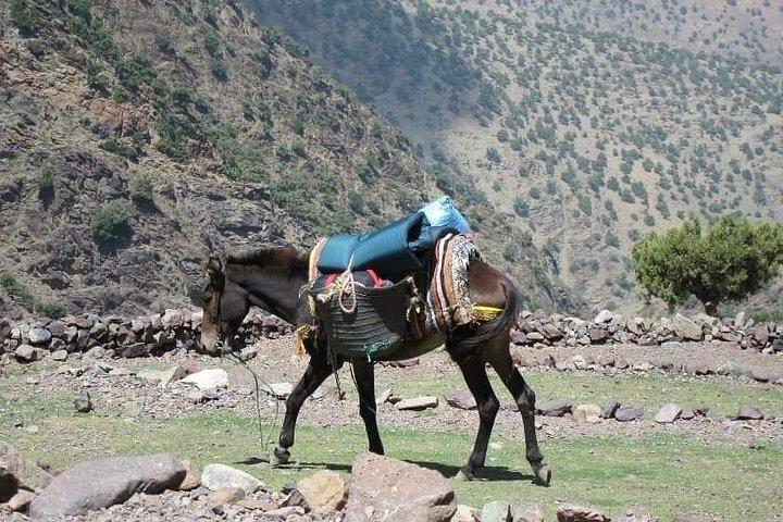 Berber Villages Trek: Explore the Authentic Moroccan Culture