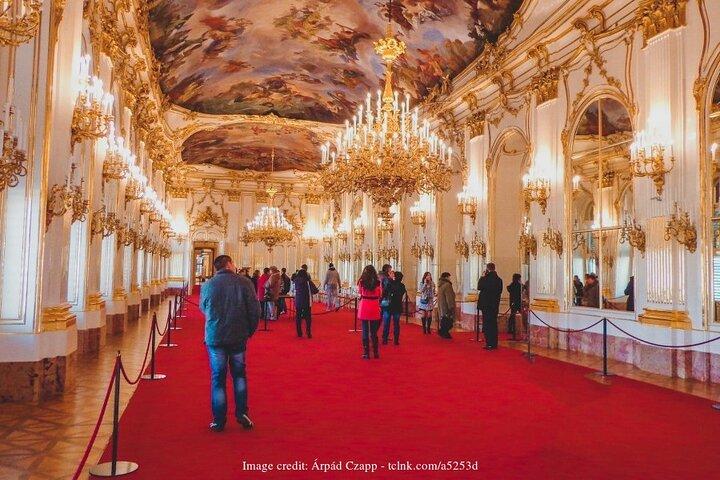 シェーンブルン宮殿と庭園を探索する : 2.5 時間のガイド付きプライベート ツアー