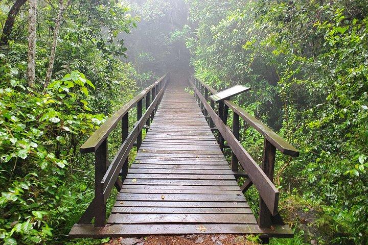 Kilimanjaro Day Hike Experience from Arusha – Marangu Route