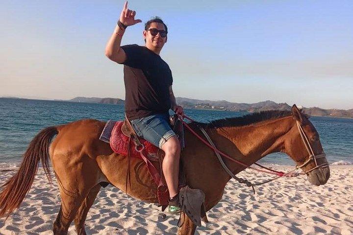 JWマリオット コスタエレナでのビーチでの乗馬