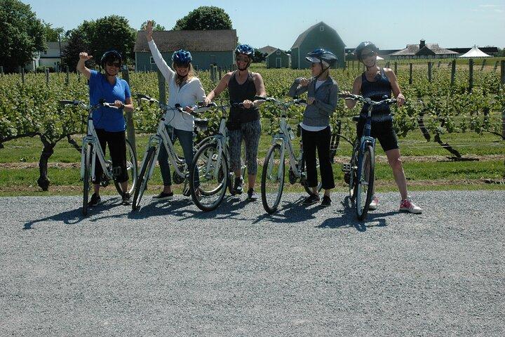 マティタックのワインカントリーを巡る半日プライベートノースフォークバイクツアー