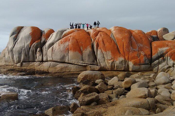 Tour di 7 giorni in super valore della Tasmania: esplora le coste occidentali e orientali della Tasmania