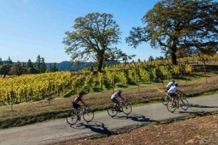 マティタックのワインカントリーを巡る半日プライベートノースフォークバイクツアー