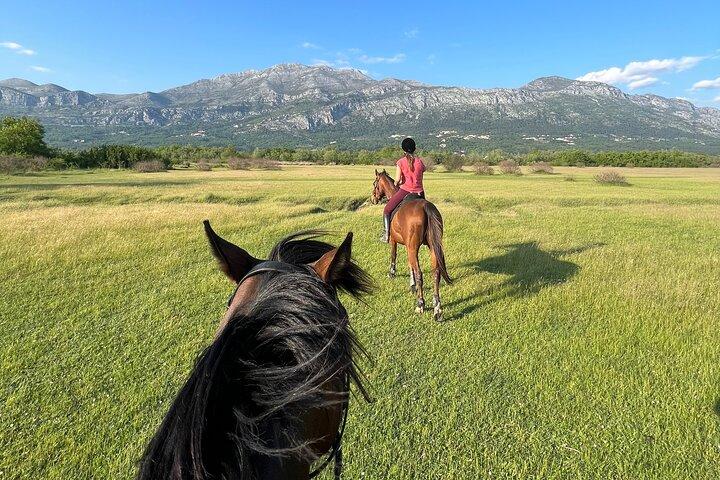 Ridupplevelse med transport från Dubrovnik