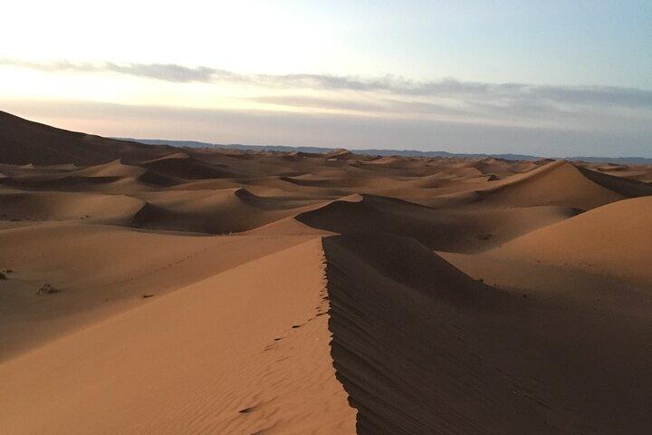 Private 4 hours walking tour of Marrakech with guide