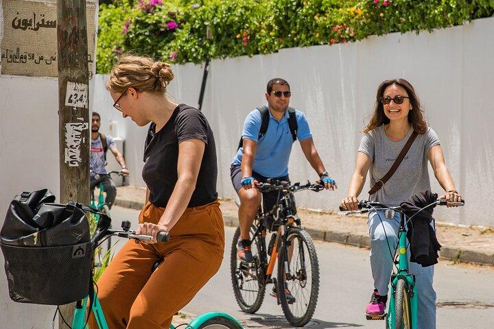 チュニジアのカルタゴ遺跡のグループ ガイド付き自転車ツアー